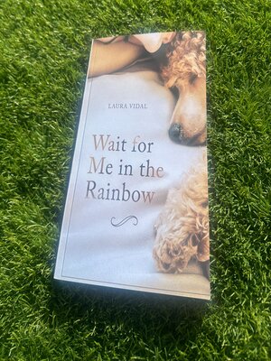 cover image of Wait for Me in the Rainbow